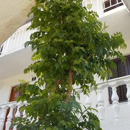 Appartement Pecarevic - A With A Stunning View *